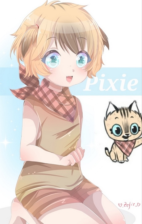 Pixie cutt